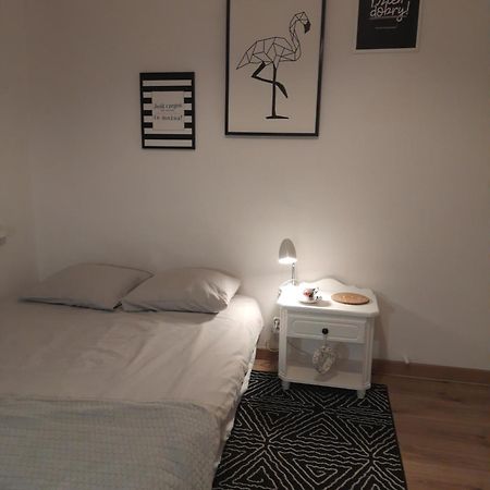 Mieszkanie 4-Pokojowe W Toruniu Przy Umk Bagian luar foto