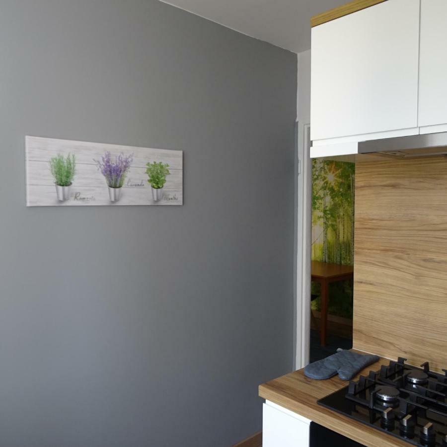Mieszkanie 4-Pokojowe W Toruniu Przy Umk Bagian luar foto
