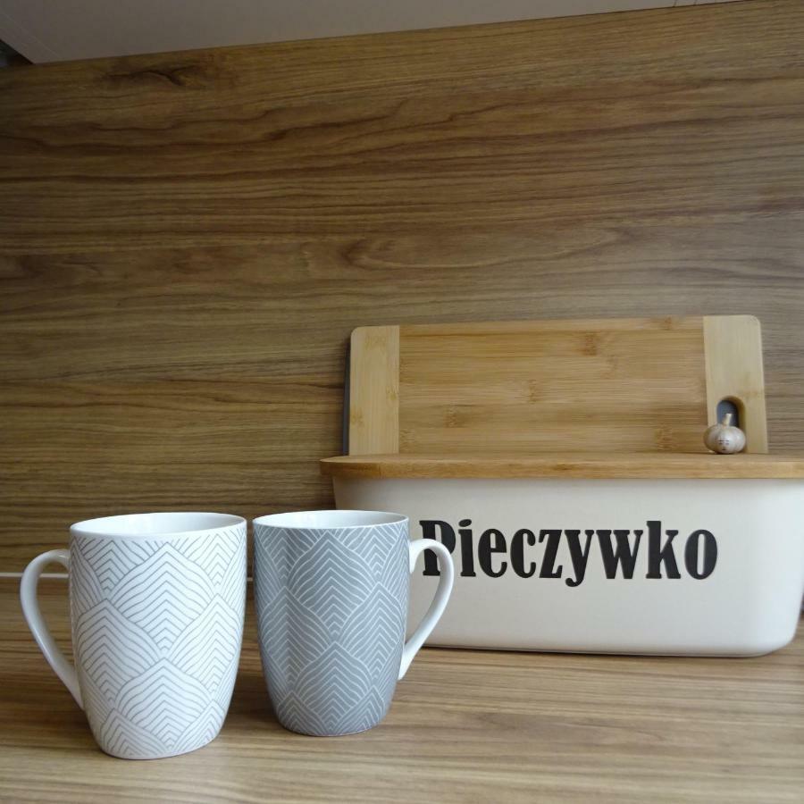 Mieszkanie 4-Pokojowe W Toruniu Przy Umk Bagian luar foto
